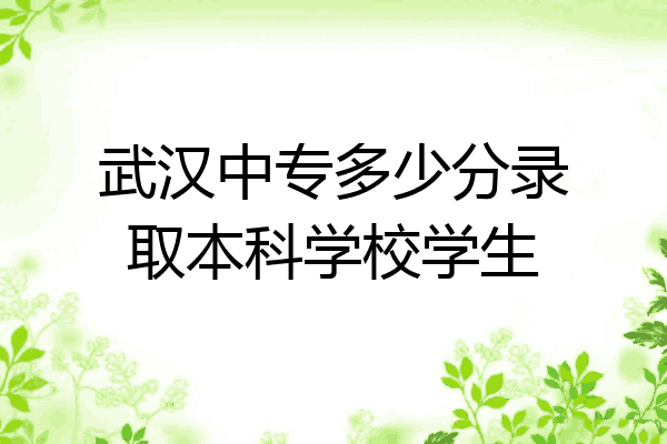 武汉中专多少分录取本科学校学生