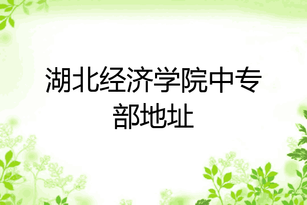 湖北经济学院中专部地址