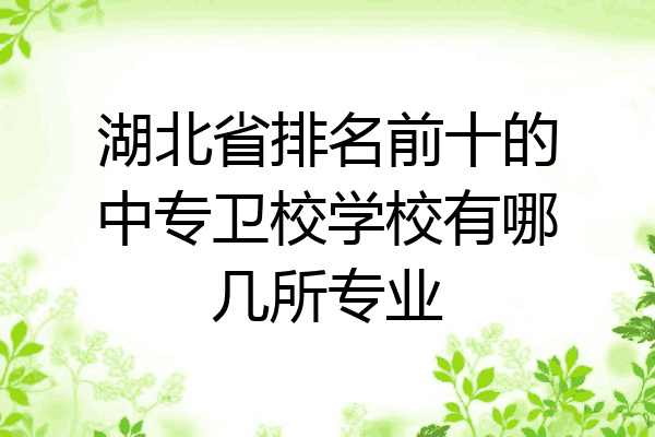 湖北省排名前十的中专卫校学校有哪几所专业