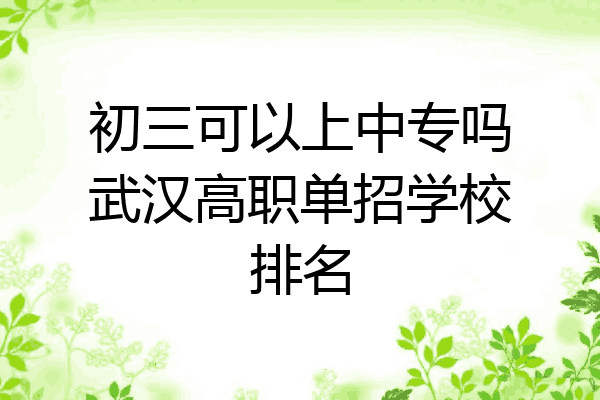 初三可以上中专吗武汉高职单招学校排名