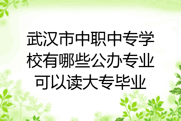 武汉市中职中专学校有哪些公办专业可以读大专毕业