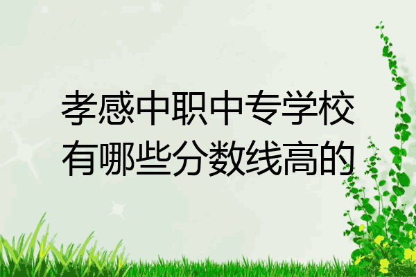 孝感中职中专学校有哪些分数线高的