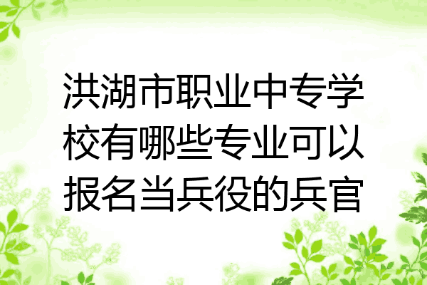 洪湖市职业中专学校有哪些专业可以报名当兵役的兵官