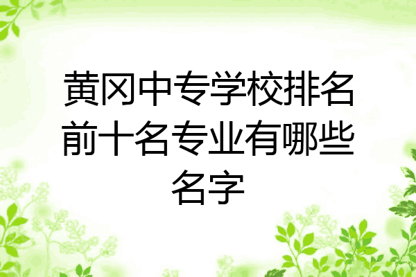 黄冈中专学校排名前十名专业有哪些名字