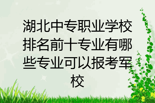 湖北中专职业学校排名前十专业有哪些专业可以报考军校