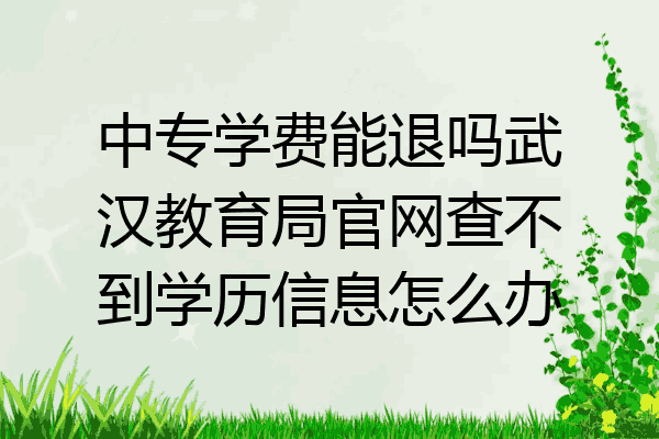 中专学费能退吗武汉教育局官网查不到学历信息怎么办