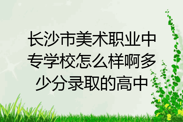 长沙市美术职业中专学校怎么样啊多少分录取的高中