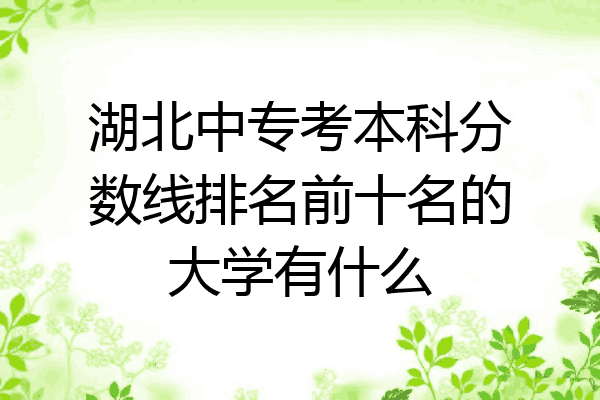 湖北中专考本科分数线排名前十名的大学有什么