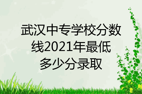武汉中专学校分数线2021年最低多少分录取