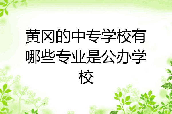 黄冈的中专学校有哪些专业是公办学校