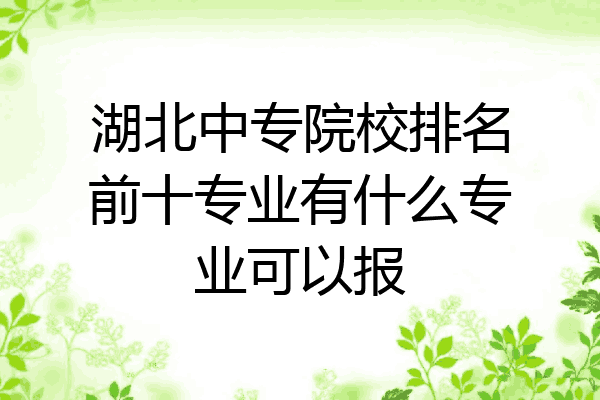湖北中专院校排名前十专业有什么专业可以报