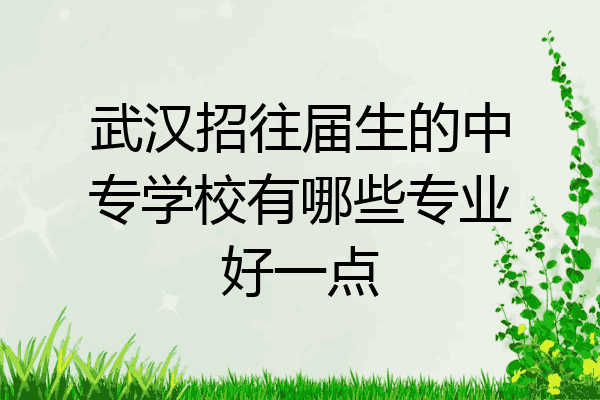 武汉招往届生的中专学校有哪些专业好一点