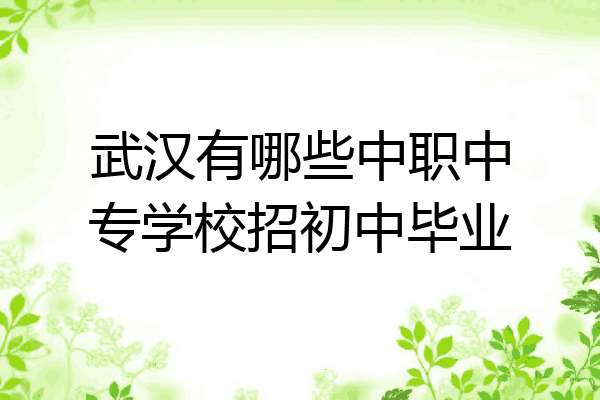 武汉有哪些中职中专学校招初中毕业