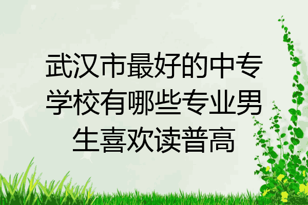 武汉市最好的中专学校有哪些专业男生喜欢读普高