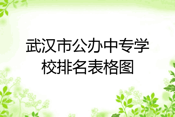 武汉市公办中专学校排名表格图
