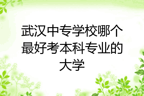 武汉中专学校哪个最好考本科专业的大学