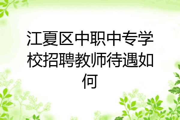 江夏区中职中专学校招聘教师待遇如何