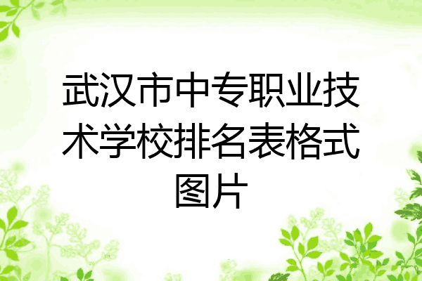 武汉市中专职业技术学校排名表格式图片