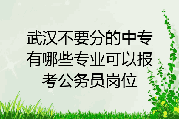 武汉不要分的中专有哪些专业可以报考公务员岗位