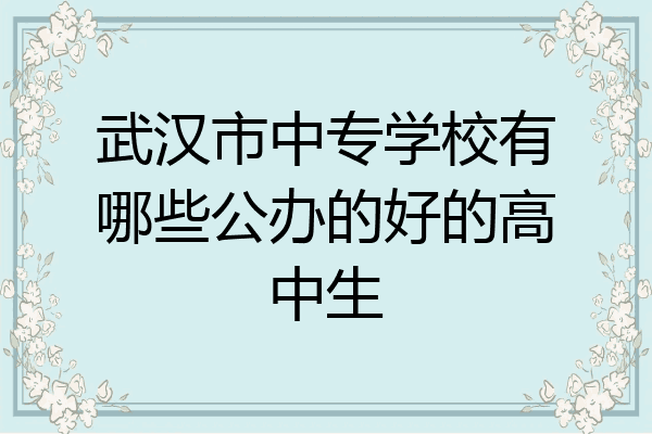 武汉市中专学校有哪些公办的好的高中生