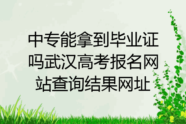 中专能拿到毕业证吗武汉高考报名网站查询结果网址