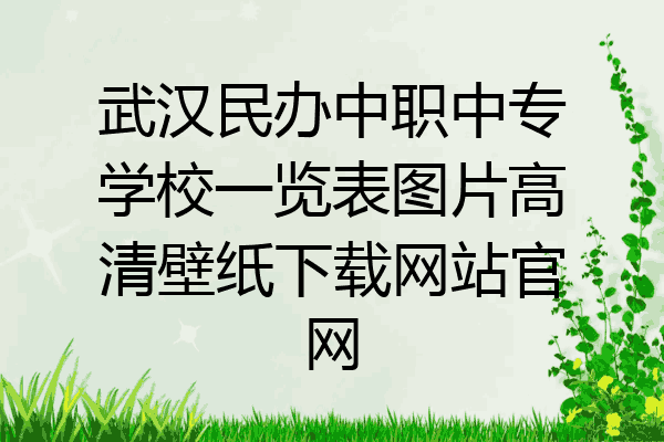 武汉民办中职中专学校一览表图片高清壁纸下载网站官网