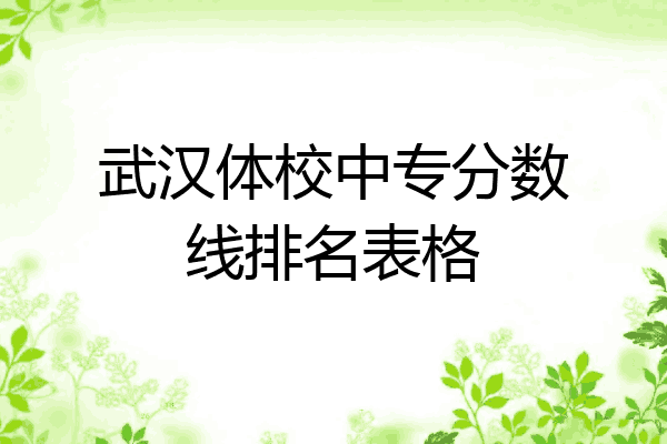 武汉体校中专分数线排名表格