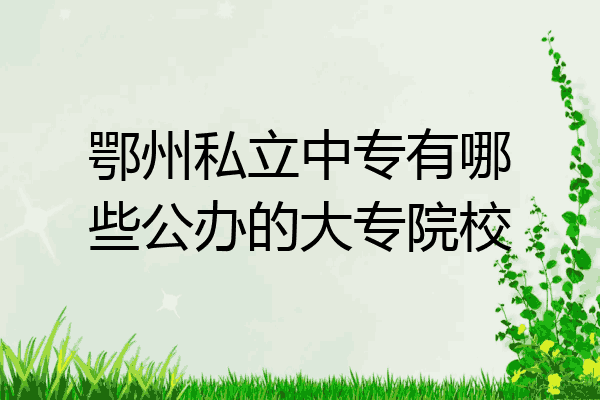 鄂州私立中专有哪些公办的大专院校