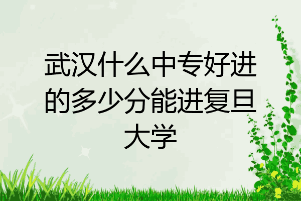武汉什么中专好进的多少分能进复旦大学