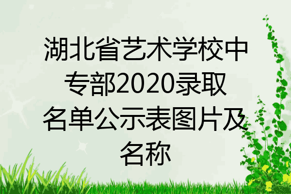 湖北省艺术学校中专部2020录取名单公示表图片及名称