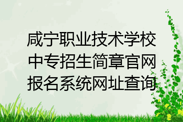 咸宁职业技术学校中专招生简章官网报名系统网址查询
