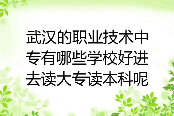 武汉的职业技术中专有哪些学校好进去读大专读本科呢