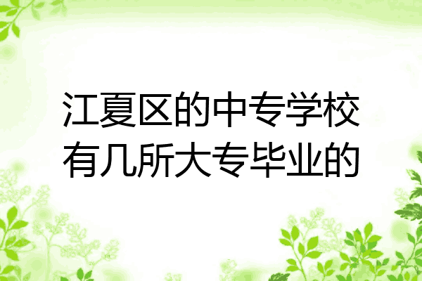 江夏区的中专学校有几所大专毕业的