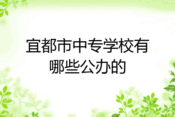 宜都市中专学校有哪些公办的