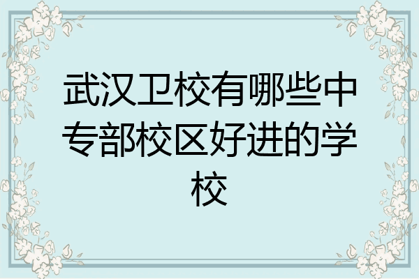 武汉卫校有哪些中专部校区好进的学校