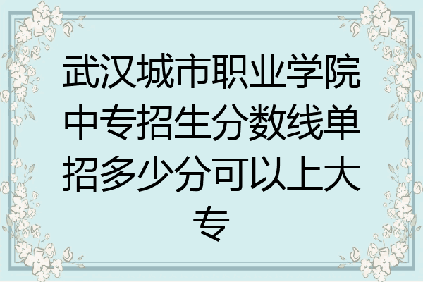 武汉城市职业学院中专招生分数线单招多少分可以上大专
