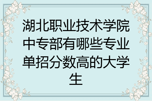 湖北职业技术学院中专部有哪些专业单招分数高的大学生