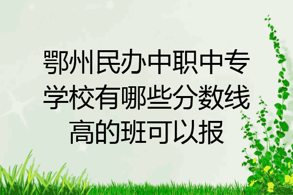 鄂州民办中职中专学校有哪些分数线高的班可以报