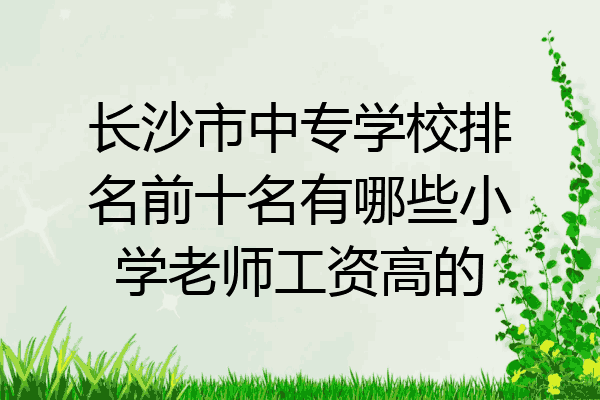 长沙市中专学校排名前十名有哪些小学老师工资高的