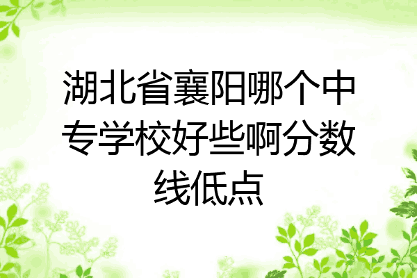 湖北省襄阳哪个中专学校好些啊分数线低点