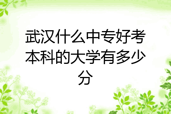 武汉什么中专好考本科的大学有多少分