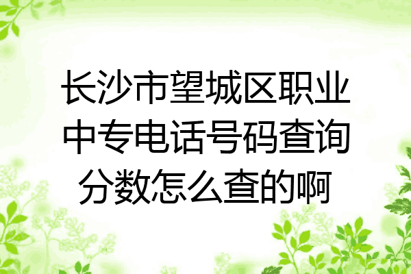 长沙市望城区职业中专电话号码查询分数怎么查的啊