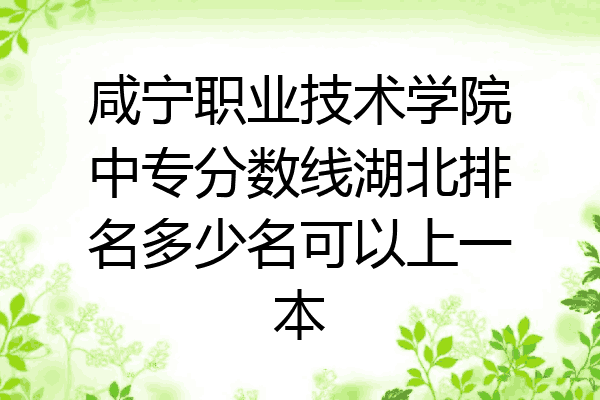 咸宁职业技术学院中专分数线湖北排名多少名可以上一本