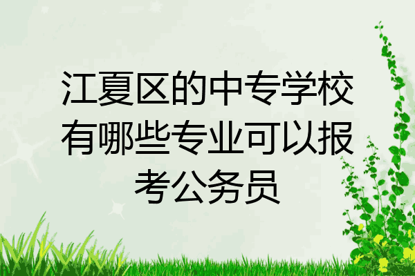 江夏区的中专学校有哪些专业可以报考公务员