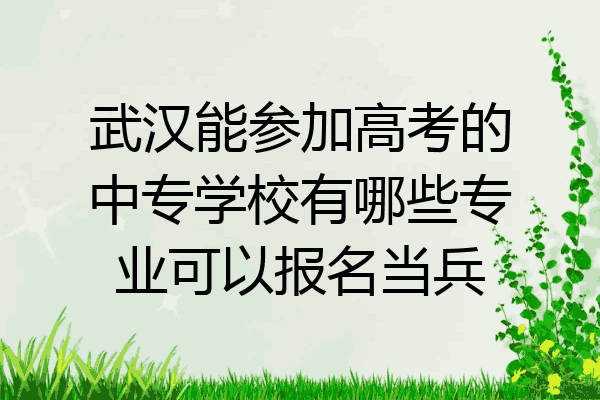武汉能参加高考的中专学校有哪些专业可以报名当兵