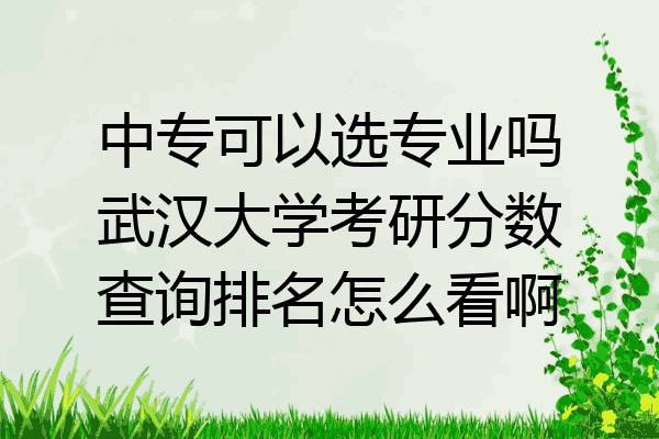 中专可以选专业吗武汉大学考研分数查询排名怎么看啊