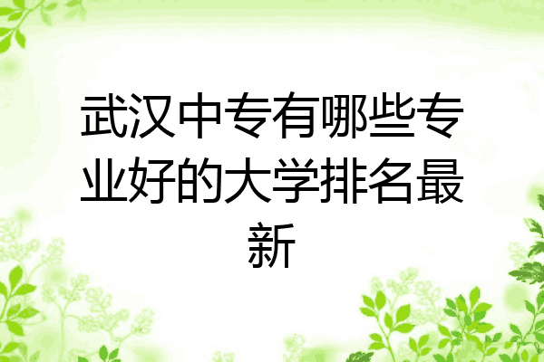 武汉中专有哪些专业好的大学排名最新
