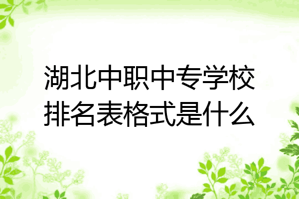湖北中职中专学校排名表格式是什么