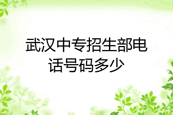 武汉中专招生部电话号码多少