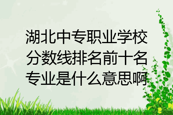 湖北中专职业学校分数线排名前十名专业是什么意思啊